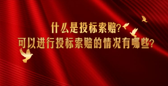 什么是投標索賠？可以進行投標索賠的情況有哪些？