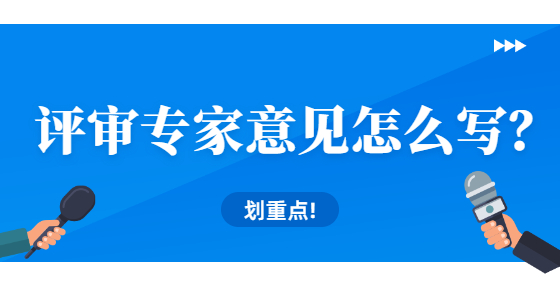 評(píng)審專家意見怎么寫？