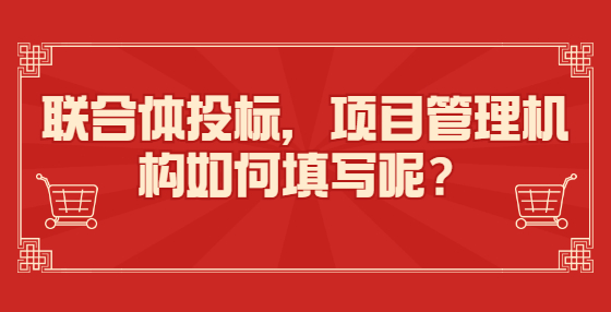 聯(lián)合體投標(biāo)，項(xiàng)目管理機(jī)構(gòu)如何填寫呢？
