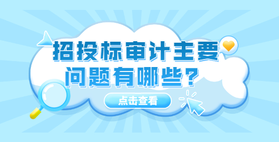 招投標(biāo)審計主要問題有哪些？