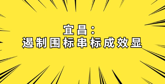 宜昌：遏制圍標串標成效顯
