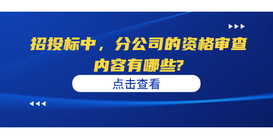 招投標(biāo)中，分公司的資格審查內(nèi)容有哪些?