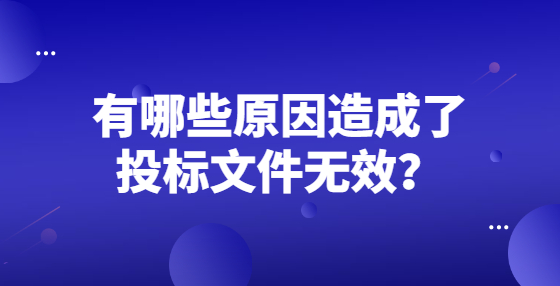 有哪些原因造成了投標(biāo)文件無效？
