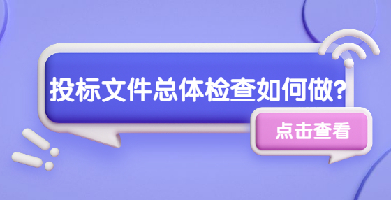 投標(biāo)文件總體檢查如何做？