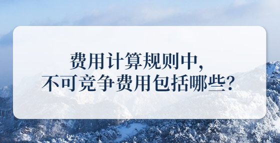 費用計算規(guī)則中，不可競爭費用包括哪些？