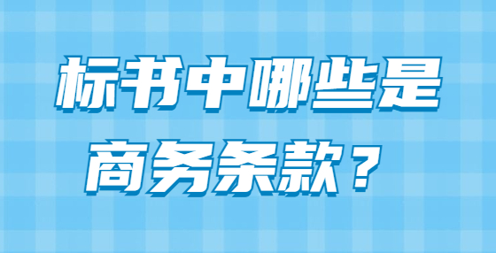 標(biāo)書中哪些是商務(wù)條款？