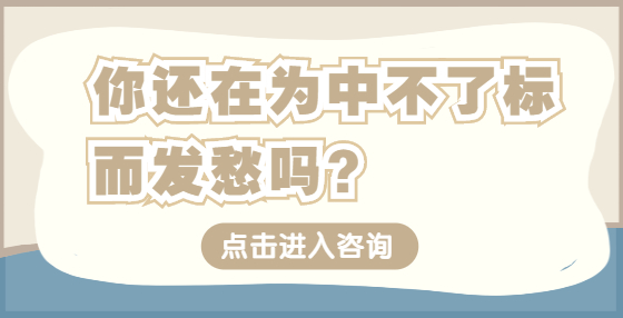 開標(biāo)及評標(biāo)階段實(shí)操經(jīng)驗(yàn)