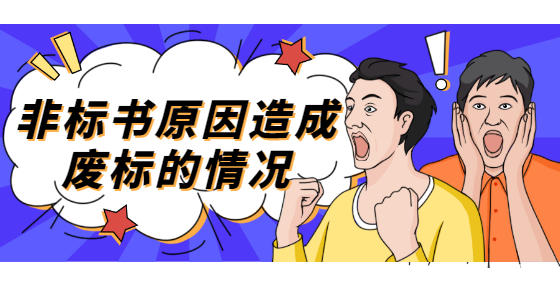 非標(biāo)書原因造成廢標(biāo)的情況