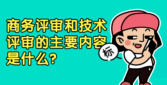 商務(wù)評審和技術(shù)評審的主要內(nèi)容是什么？