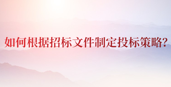 如何根據(jù)招標文件制定投標策略？