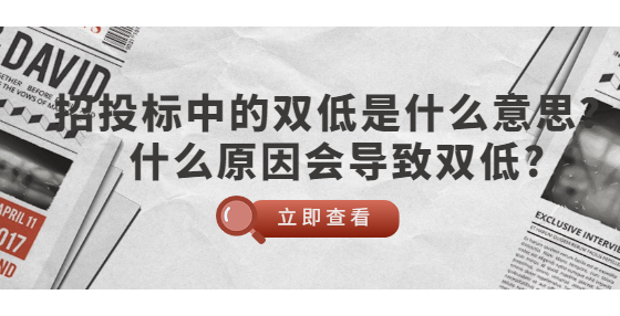招投標中的雙低是什么意思？什么原因會導致雙低?