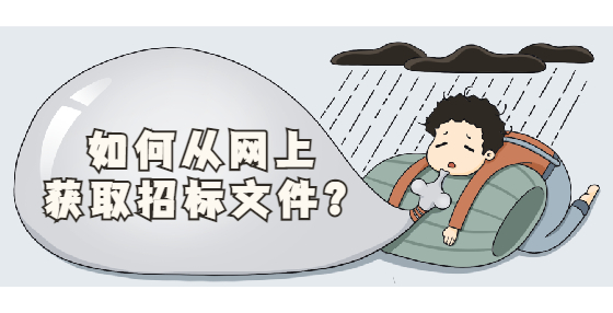 如何從網(wǎng)上獲取招標文件？