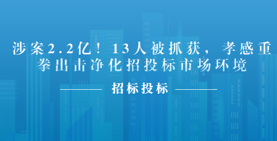 涉案2.2億！13人被抓獲，孝感重拳出擊凈化招投標(biāo)市場(chǎng)環(huán)境