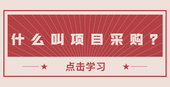 什么叫項目采購？