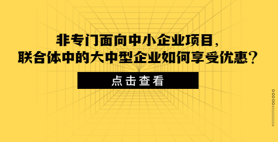 非專門面向中小企業(yè)項目，聯(lián)合體中的大中型企業(yè)如何享受優(yōu)惠？