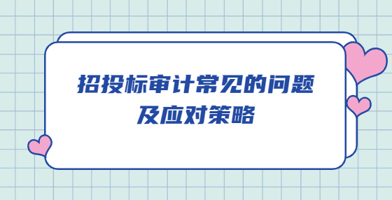 招投標(biāo)審計(jì)常見的問題及應(yīng)對(duì)策略