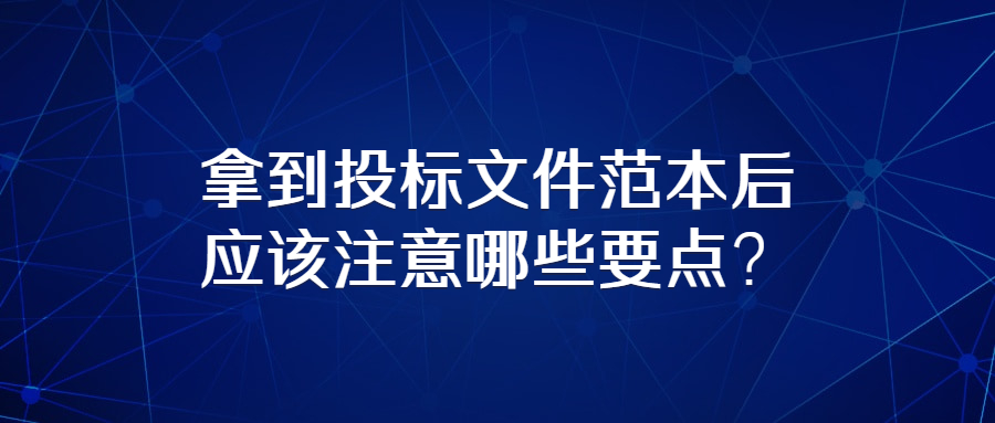 拿到投標(biāo)文件范本后應(yīng)該注意哪些要點(diǎn)？