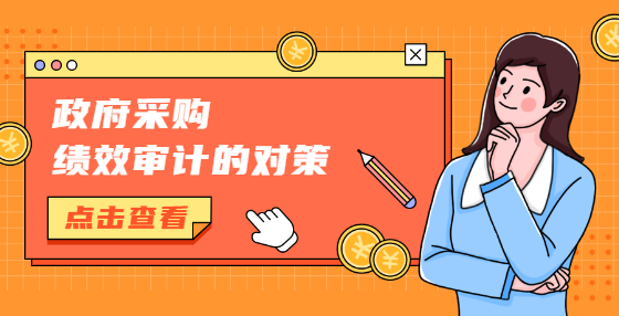 政府采購(gòu)績(jī)效審計(jì)的對(duì)策