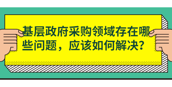 基層政府采購領(lǐng)域存在哪些問題，應(yīng)該如何解決？