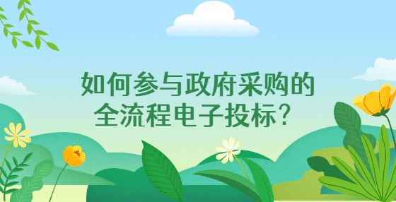 如何參與政府采購(gòu)的全流程電子投標(biāo)？