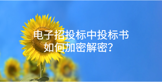 電子招投標(biāo)中投標(biāo)書(shū)如何加密解密？
