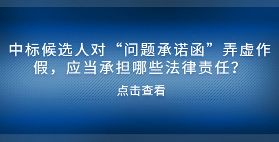 中標(biāo)候選人對“問題承諾函”弄虛作假，應(yīng)當(dāng)承擔(dān)哪些法律責(zé)任？
