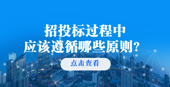 招投標過程中應該遵循哪些原則？