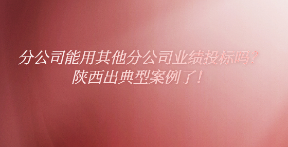 分公司能用其他分公司業(yè)績投標(biāo)嗎？陜西出典型案例了！