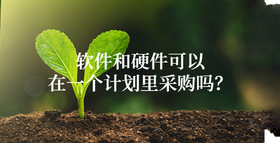軟件和硬件可以在一個計劃里采購嗎？