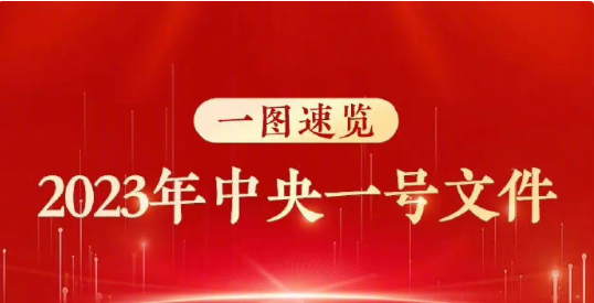 2023年中央一號文件公布 提出做好2023年全面推進(jìn)鄉(xiāng)村振興重點(diǎn)工作