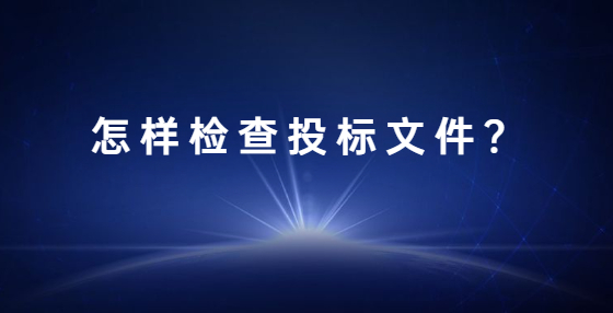 怎樣檢查投標文件？
