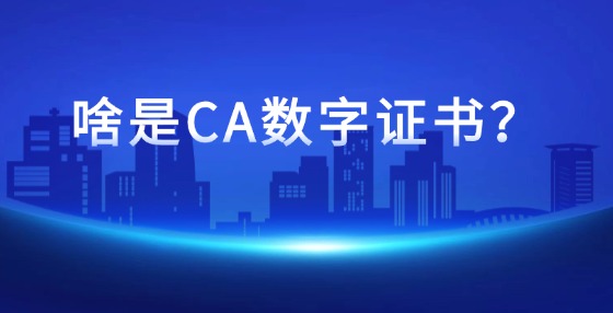 啥是CA數(shù)字證書？