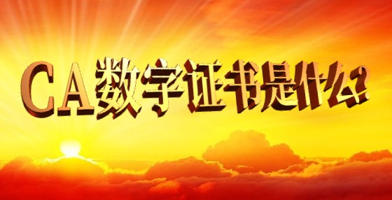 CA數(shù)字證書是什么？