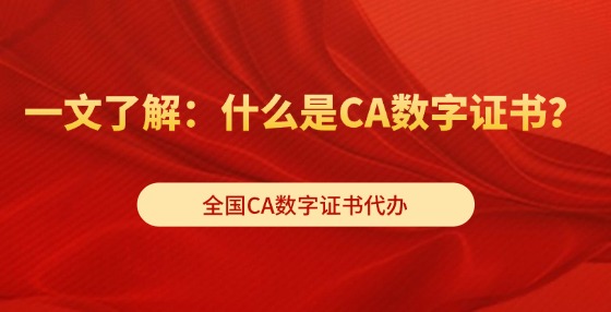 一文了解：什么是CA數(shù)字證書(shū)？