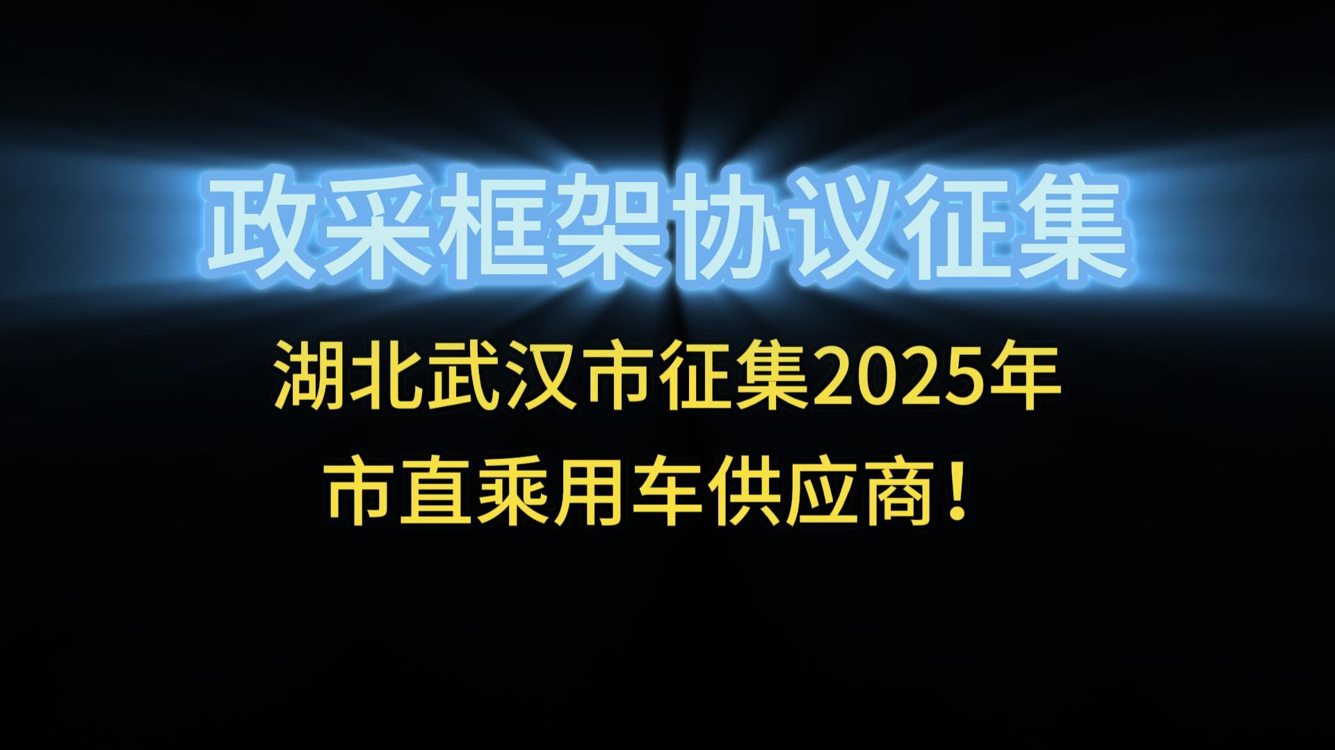 湖北武漢市征集2025年市直乘用車供應(yīng)商！